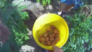 2. Утепление выгребной ямы