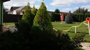 Первичная формовочная обрезка туй