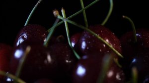 water droplets on fresh cherries on a black background   Stock Video Footage