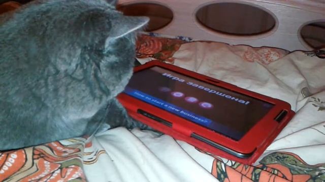 Ну и ГАдЖЕТы, мышонок... смотреть онлайн