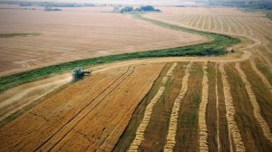 Зерновая Сделка Уборка Злаков Комбайн в поле Продовольственная безопасность Изменение Климата