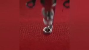 Lacoste история бренда