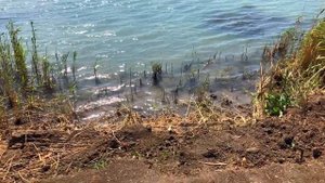 РЫБАЛКА В СТАВРОПОЛЕ ЩУКА НА ОТВОДНОЙ РЕКА ЕГОРЛЫК