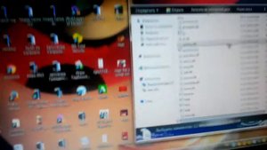 Где найти папку bin