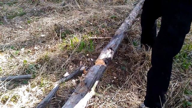 Тест универсального топора из ХВГ от УРМ АНИКА смотреть онлайн