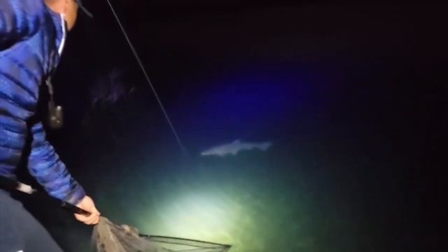 Fishing in Croatia on Lake Sumbar. Рыбалка в Хорватии на озере Шумбар.2023