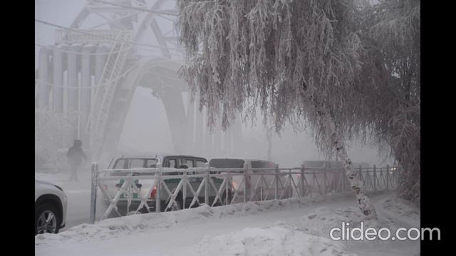 Ваня Потапов - Туман