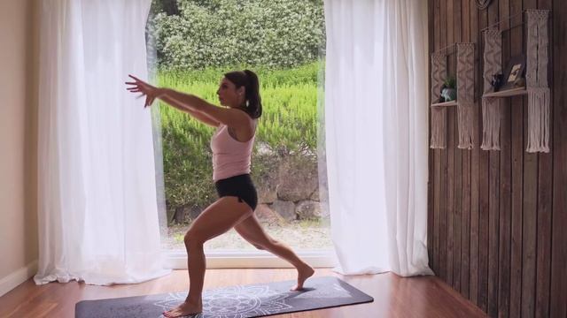 Full Body Detox Yoga Flow - Beginner Yoga Class with twists