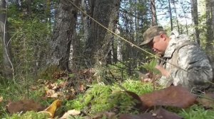 Охота с лайками Таежные приключения поход в лес с ружьем