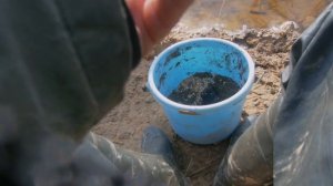 На Днепр с Дайва Ниндзя. Ловим на фидер.