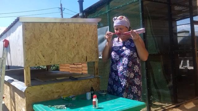 Как бороться с комарами, как от них избавиться полностью