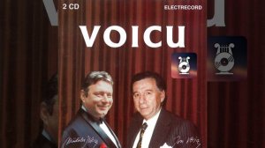 Simfonia nr. IX în Mi minor, op. 95, Din lumea nouă, Molto vivace