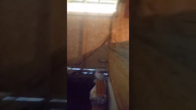 Строение под временное жилье в сараике))) смотреть онлайн