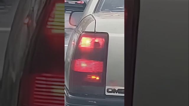 Это ручная крыса?