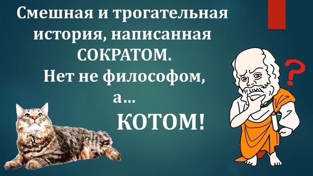 Невероятные приключения кота Сократа смотреть онлайн