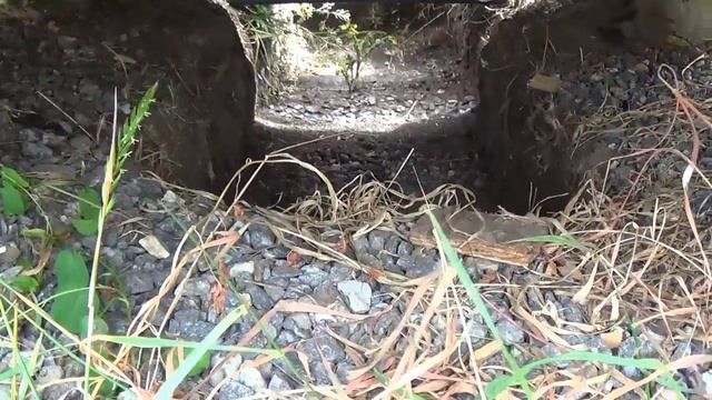 Туалет своими руками смотреть онлайн