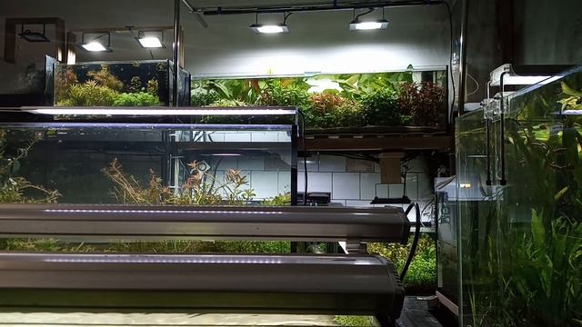 Освещение на плантации. Так ли хороши прожектора? смотреть онлайн