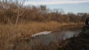 Чистка реки