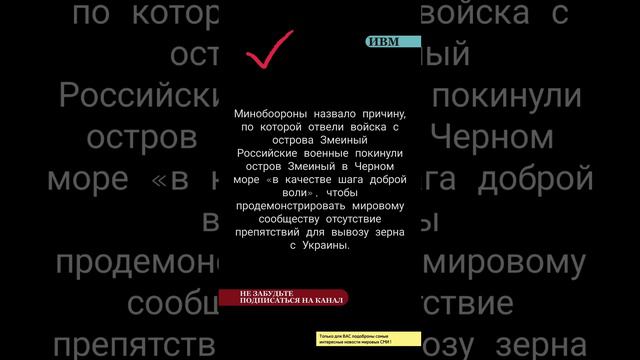 Минобоороны назвало причину, по которой отвели войска с острова Змеиный