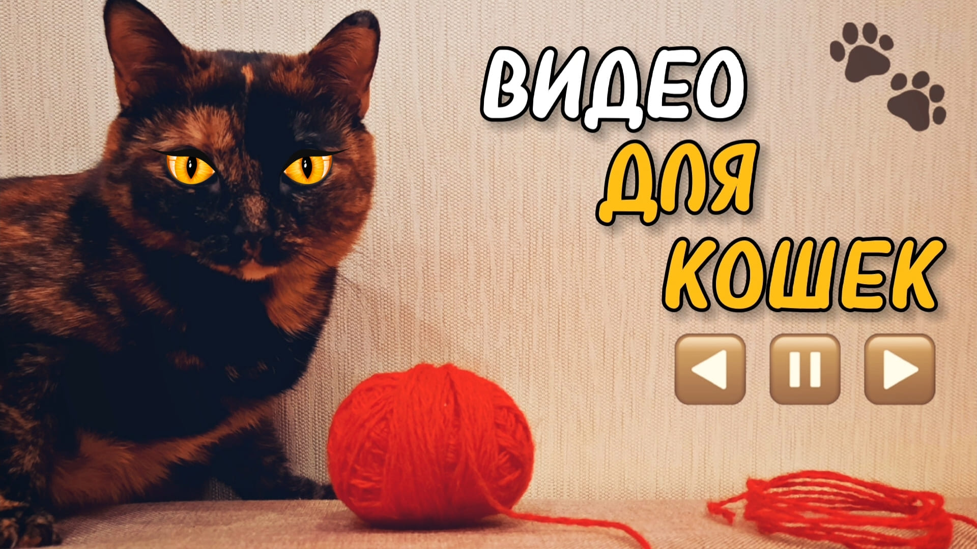 Видео для кошек. Кошка играет с нитками