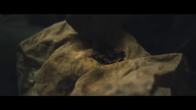 State of Decay 2    The Coach and the Nurse смотреть онлайн