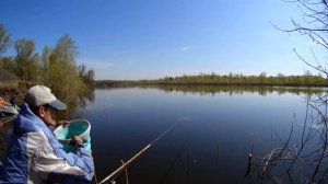 ПЛОТВА / ПЛОТВА ВЕСНОЙ / РЫБА ПЛОТВА / ВЕСЕННЯЯ ЛОВЛЯ ПЛОТВЫ НА ПОПЛАВОЧНУЮ УДОЧКУ / САМАРА, ВОЛГА