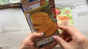 Это не ПРОСТО ОБЗОР. ОГРОМНАЯ ЗАКУПКА СЕМЯН / Мои СЕКРЕТЫ выращивания ЛУКА на ЗЕЛЕНЬ