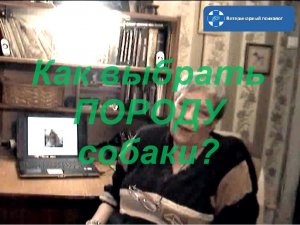 Как выбрать породу собаки?