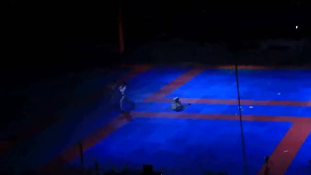 Показательные выступления корейцев на Тхеквондо ВТФ смотреть онлайн