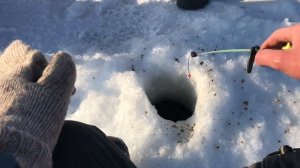 ПЛОТВА ЗИМОЙ НА МОРМЫШКУ! Ловля плотвы.