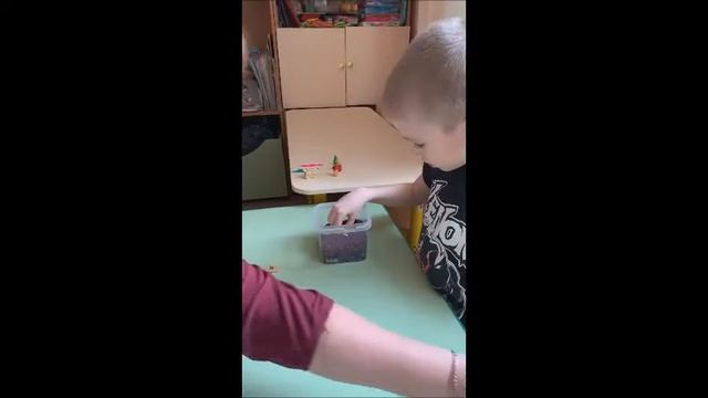 Система психолого-педагогического сопровождения детей «группы риска»