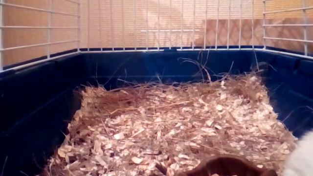 Скрытая камера))))) смотреть онлайн