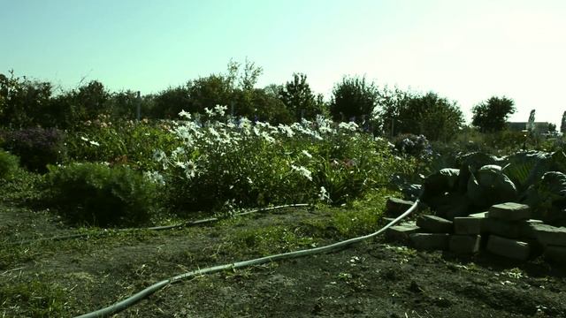 Сентябрь 2017. Осенний сад смотреть онлайн