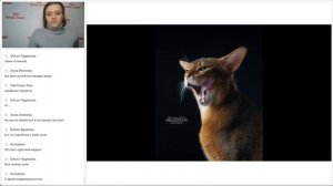 Открытый вебинар: ОБЗОРЫ КЕЙСОВ ФОТОГРАФОВ-АНИМАЛИСТОВ. КОШКИ В ОБЪЕКТИВЕ.