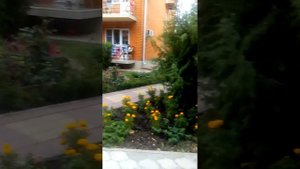 Пансионат Нико Витязево...люблю!!!!