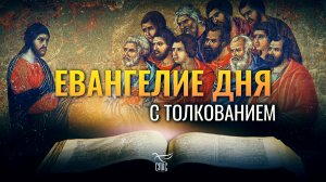 «ГОСПОДИ! ТЫ ВСЕ ЗНАЕШЬ; ТЫ ЗНАЕШЬ, ЧТО Я ЛЮБЛЮ ТЕБЯ» / ЕВАНГЕЛИЕ ДНЯ