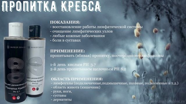 33 | Пропитка КРЕБСА PH 3.7 и 8.2. Здоровая лимфатическая система. Живая земля