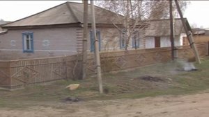 Мое село Новая Шульба