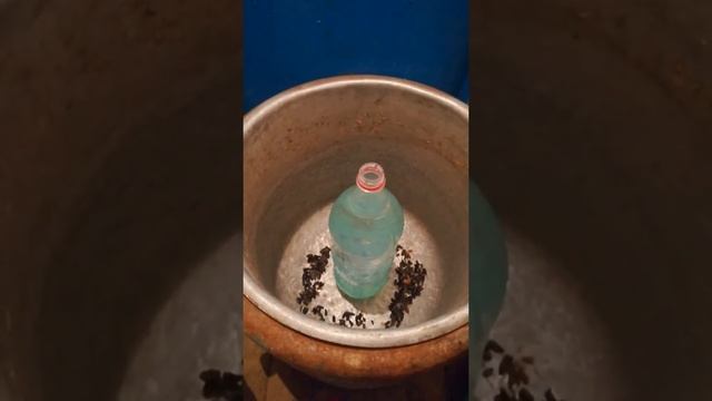 Медный купарос пайдасы көп смотреть онлайн