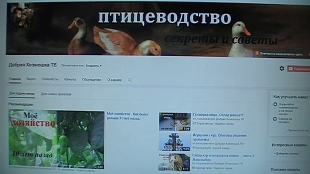 Минеральная подкормка для кур . Полезные камешки. смотреть онлайн