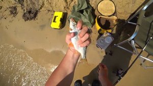 Рыбалка на леща на Сурском водохранилище