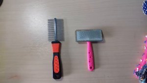 ЧТО НУЖНО ДЛЯ ПОЯВЛЕНИЯ ЩЕНКА В ДОМЕ? американский кокер спаниель