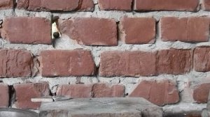 Хлорат калия и кровяная соль