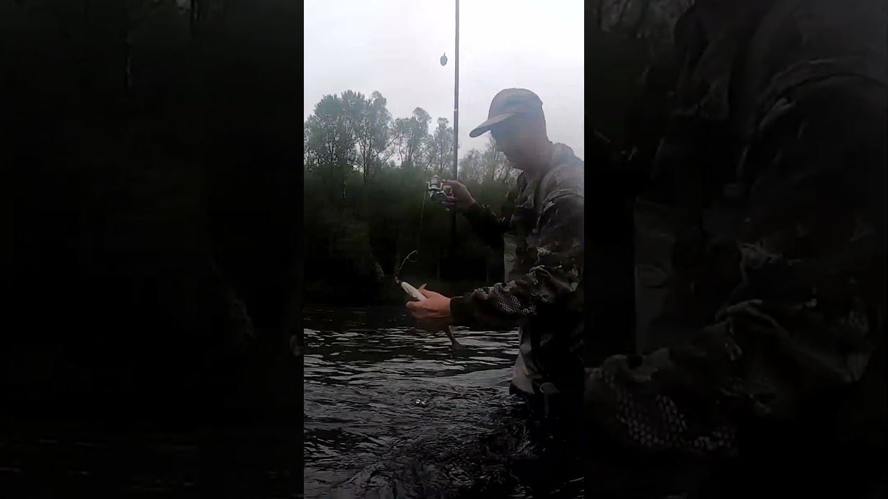 Рыбалка Анюй Август 2024 смотреть онлайн