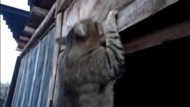 на спорте??