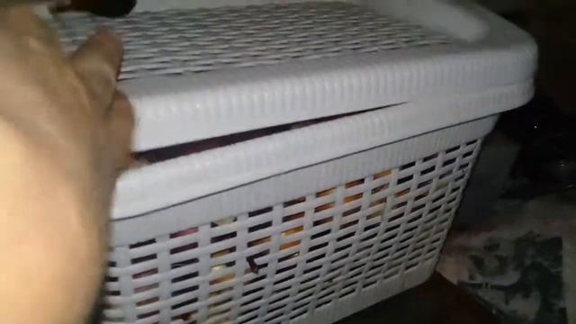 Пирожки с капустой. КОНСЕРВАЦИЯ.Огуречный рай.... смотреть онлайн