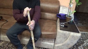 Про скифский лук