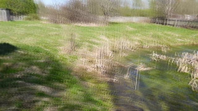 Дом в деревне Земнево