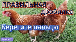 #13 Лучший способ дробить зерно