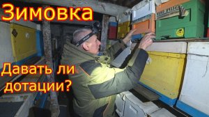 ЗИМОВКА! ДАВАТЬ ли ДОТАЦИИ!!! Зимовка пчёл в мини плюсах в СИБИРИ
